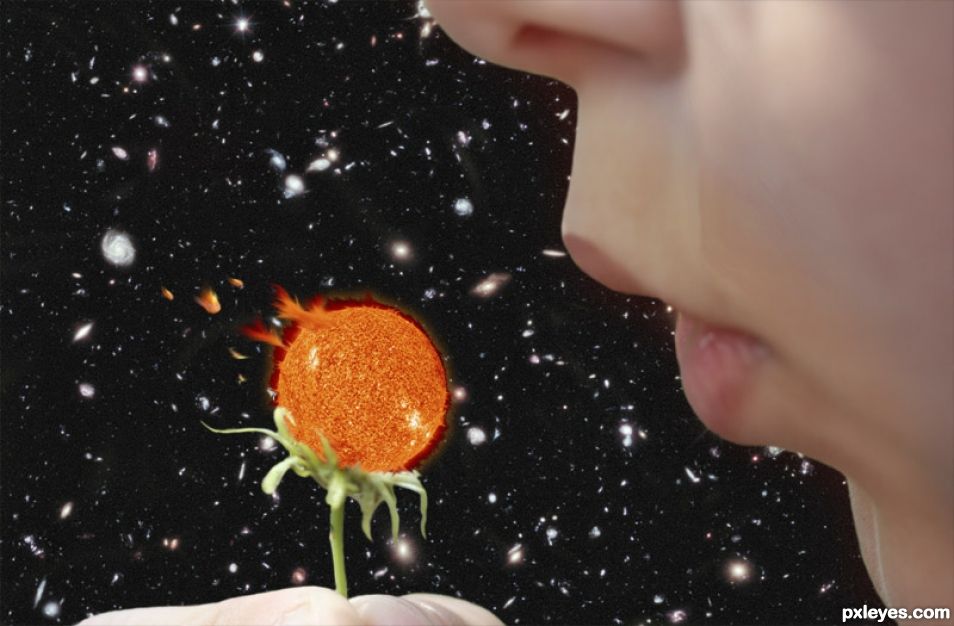 Creation of Sunflower: Step 5