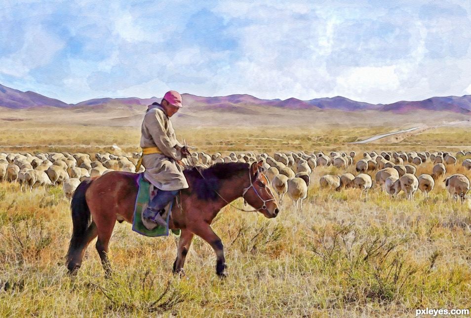 On the Mongolian Plains