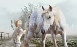 Fairy and Unicorn