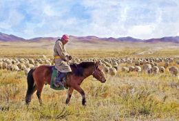 On the Mongolian Plains