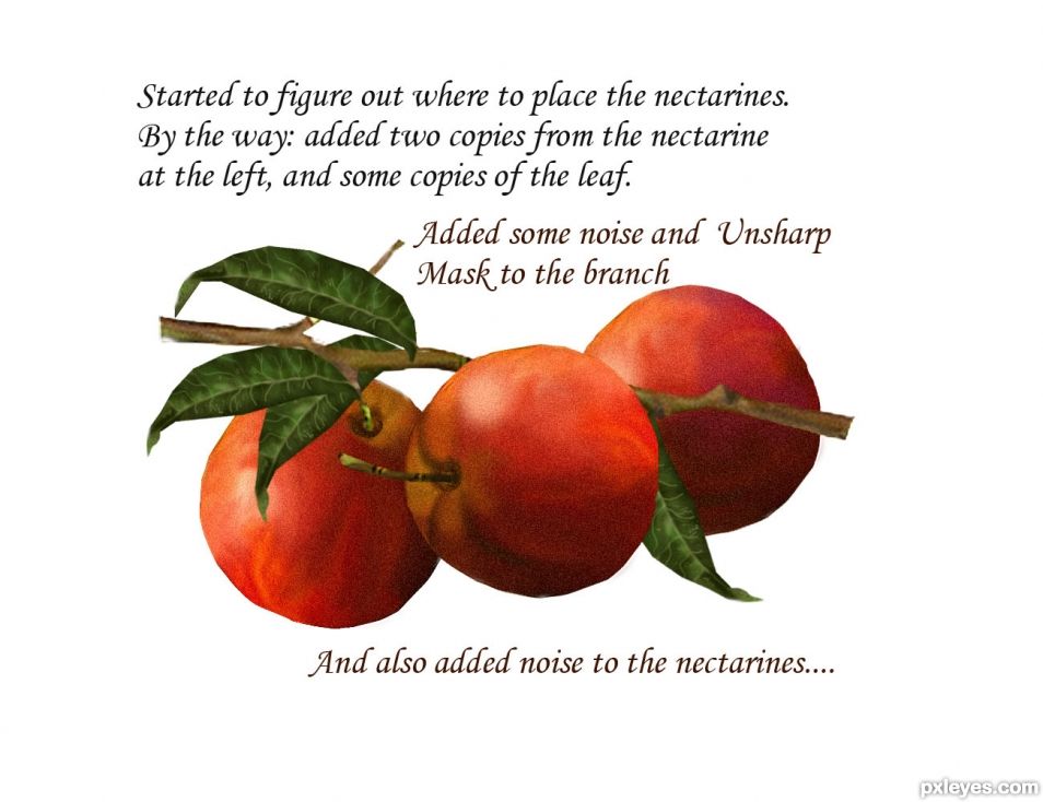 Creation of NECTARINES: Step 4