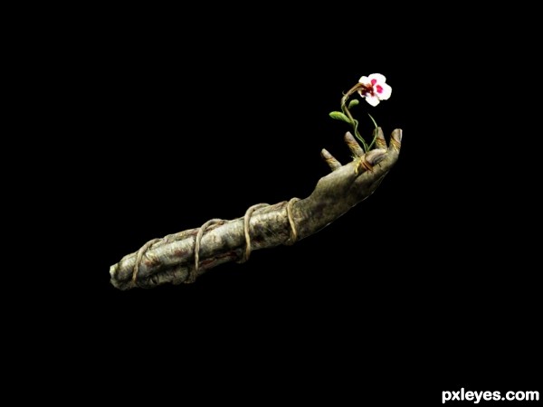 Creation of The smell of life: Step 6