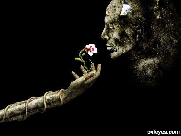 Creation of The smell of life: Step 7