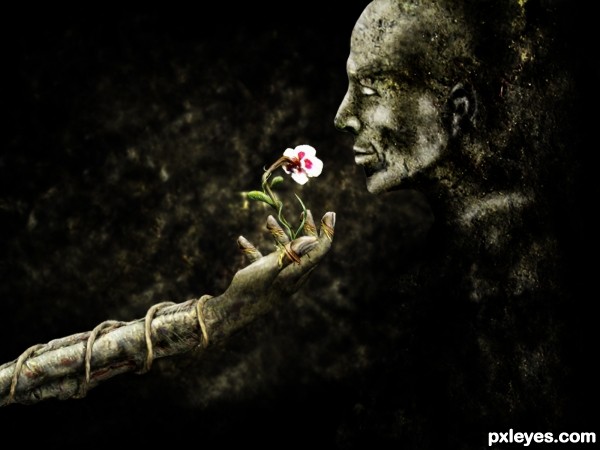 Creation of The smell of life: Step 8