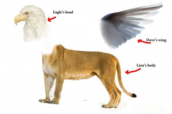 Creation of King of Animals: Step 1