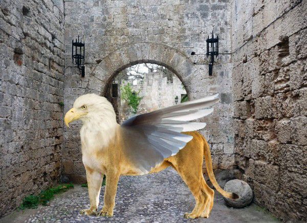 Creation of King of Animals: Step 3