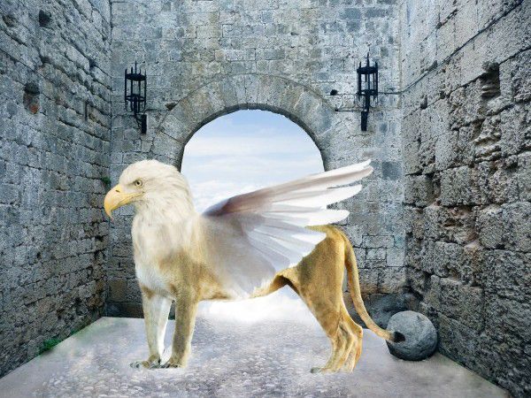 Creation of King of Animals: Step 5