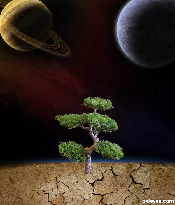 Creation of 7th Day: Step 10