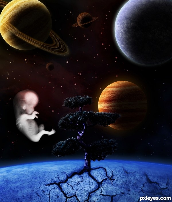 Creation of 7th Day: Step 12
