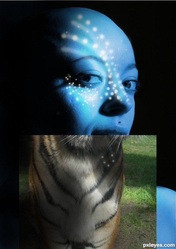 Creation of  tigerine avatar : Step 4