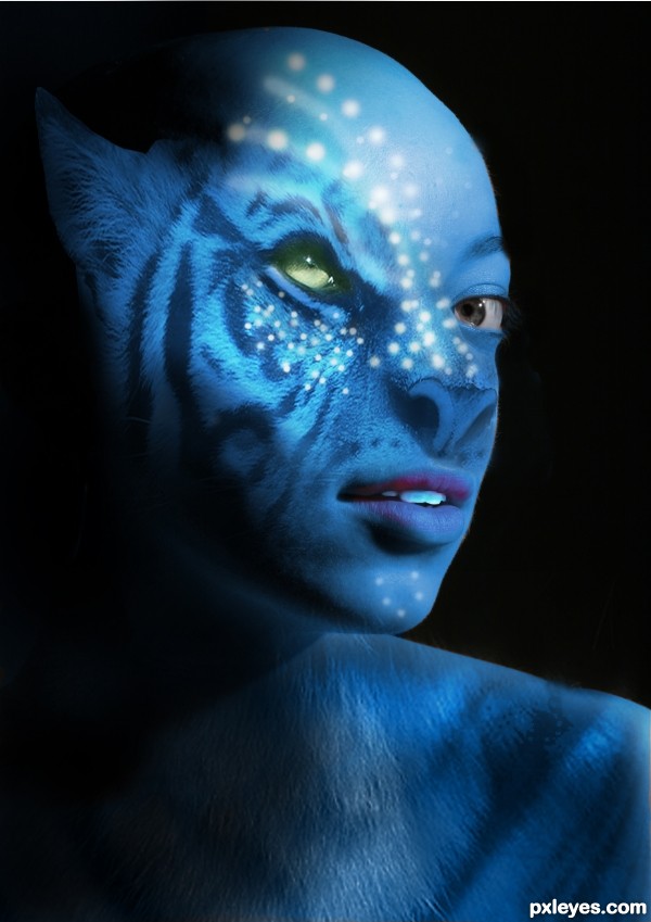 Creation of  tigerine avatar : Step 6