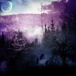 purple night Picture