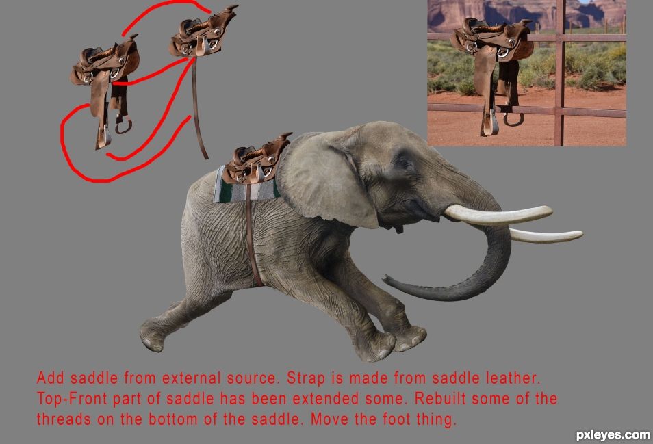 Creation of A Monkey and His Elephant... on a beach... going fast.: Step 11