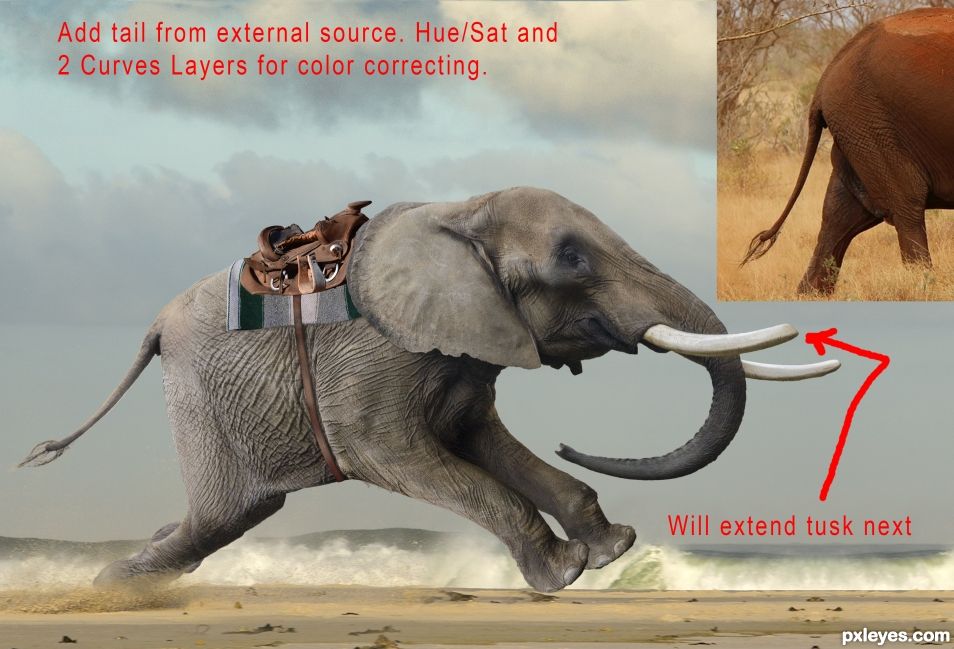 Creation of A Monkey and His Elephant... on a beach... going fast.: Step 13