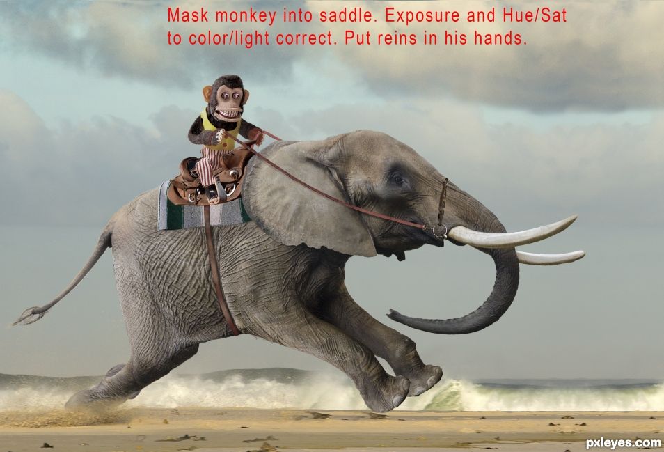 Creation of A Monkey and His Elephant... on a beach... going fast.: Step 17