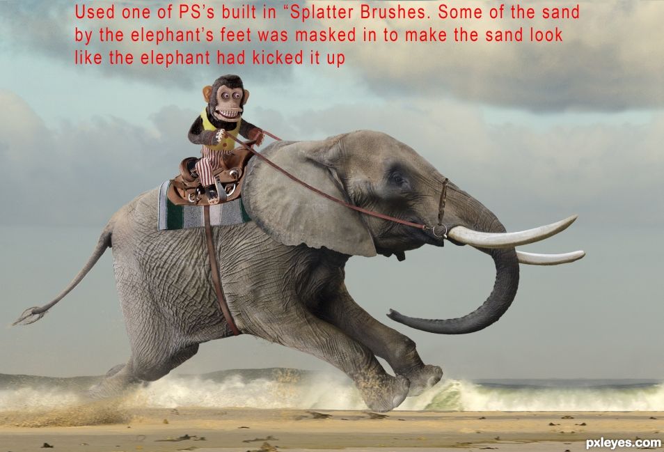 Creation of A Monkey and His Elephant... on a beach... going fast.: Step 18