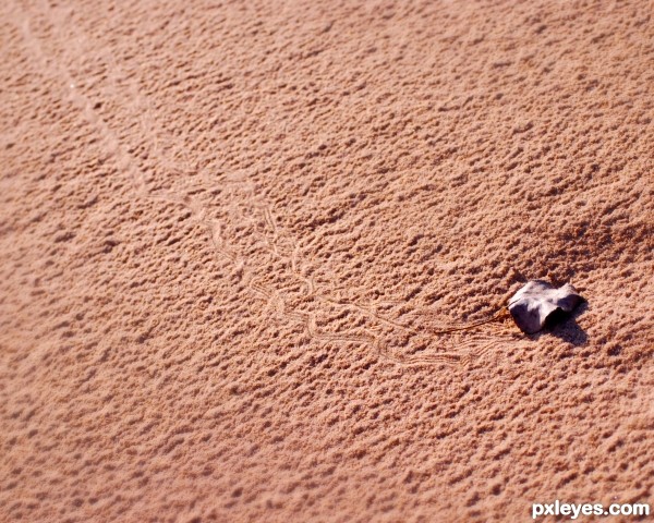 Crawling Leaf