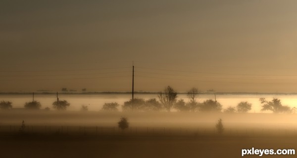 morning fog