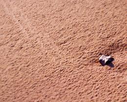 Crawling Leaf