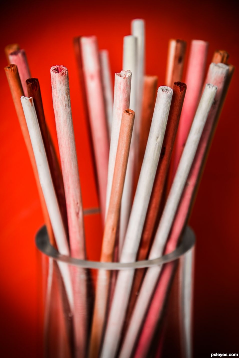 Red Sticks