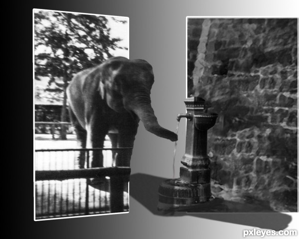 thirsty elephant