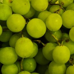 GreenGrapes