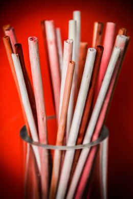 Red Sticks