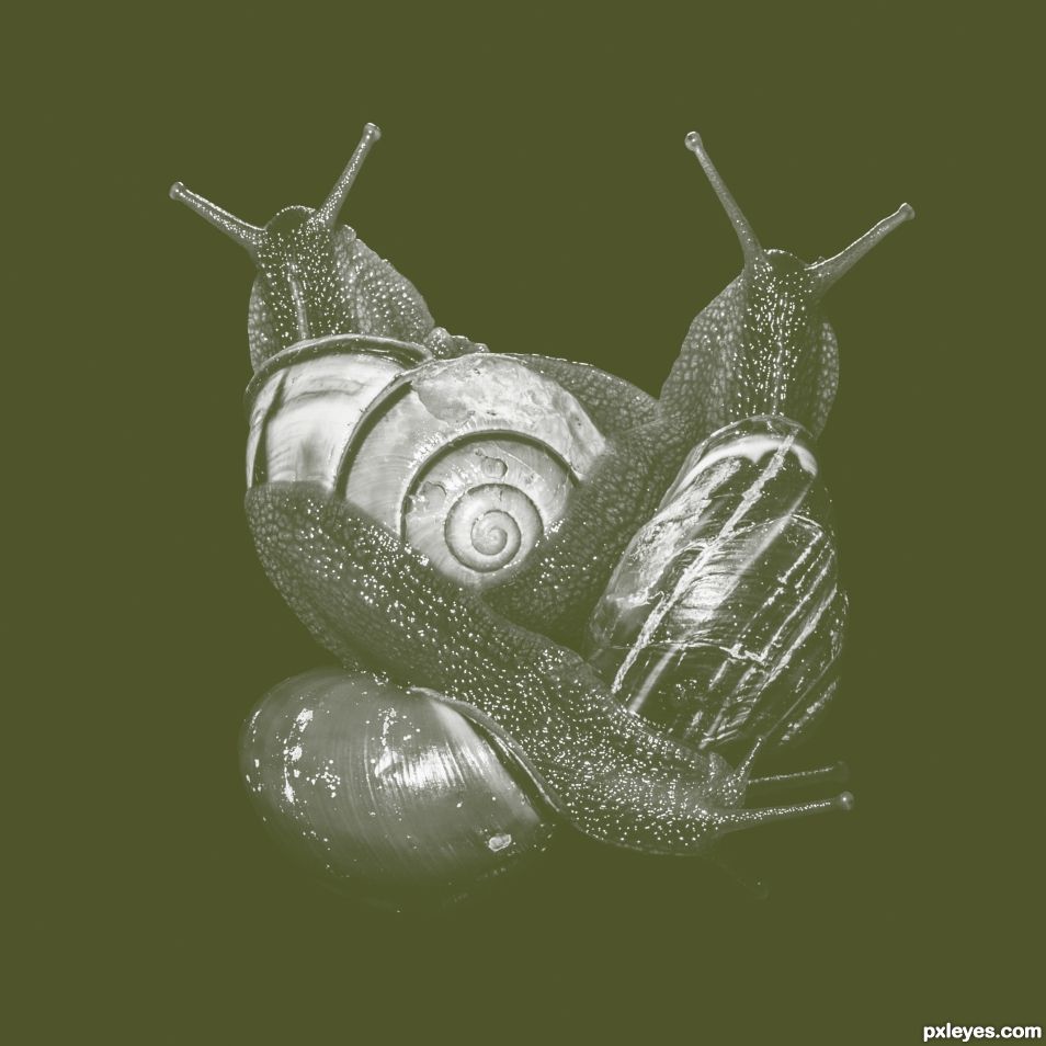 green snail