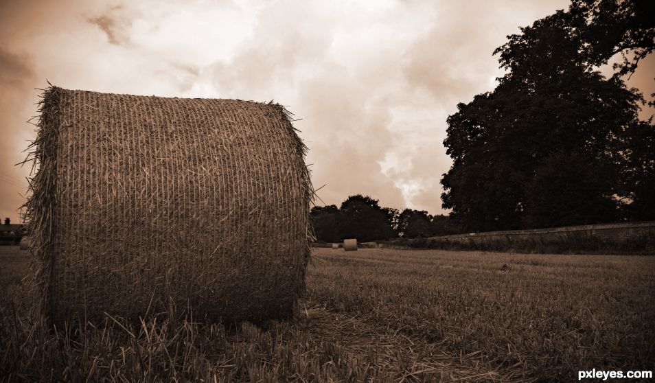 Making Hay