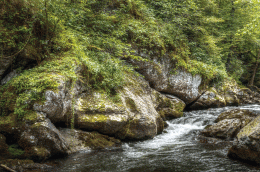 Smokey Mountain river