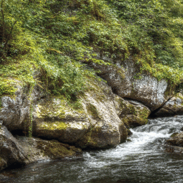 SmokeyMountainriver