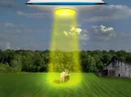 Cow Abduction 