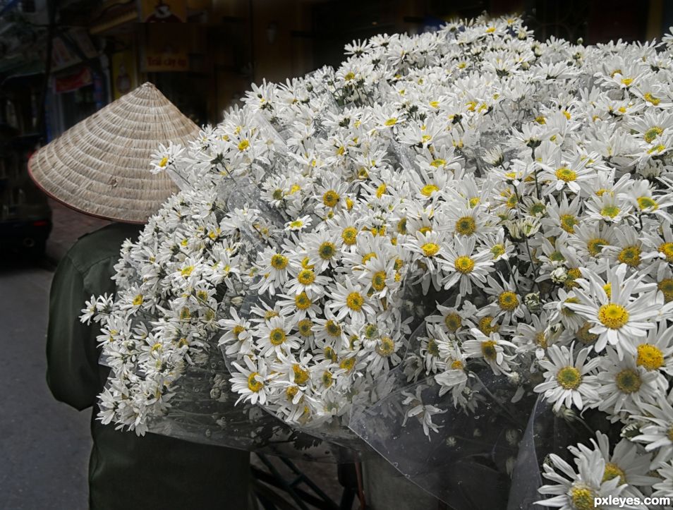 Flower Vendor