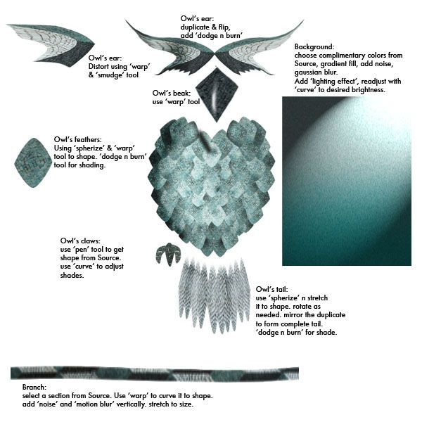 Creation of Sacred Owl: Step 1