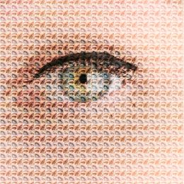 MosaicEyes