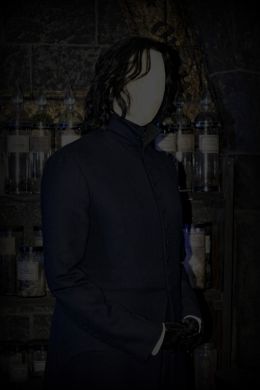 Professor Snapes Cloak