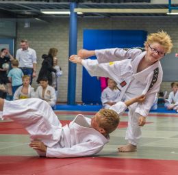 The judo motion
