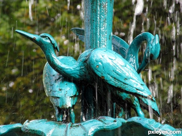 Bird Fountain