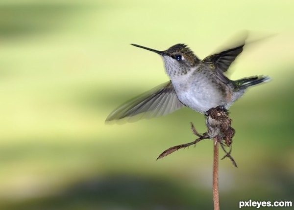 Ready for Takeoff