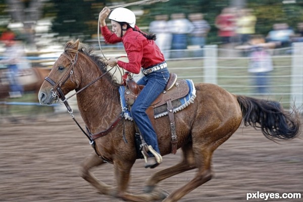 Breakaway Roper