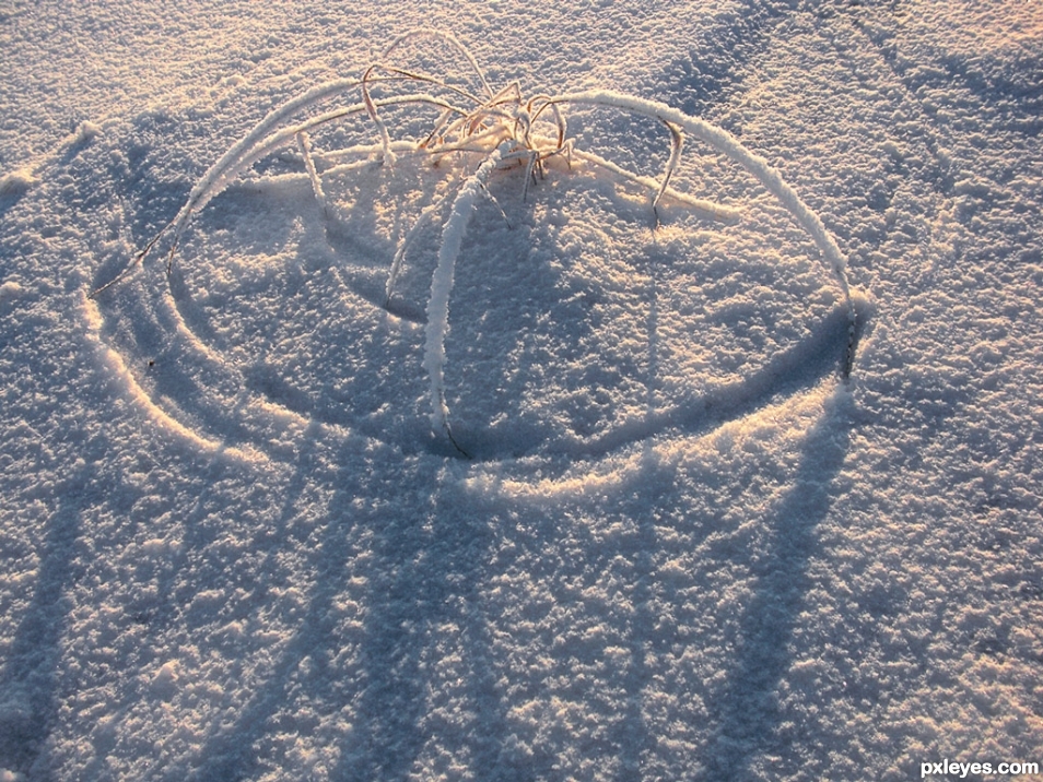 Snow Spider