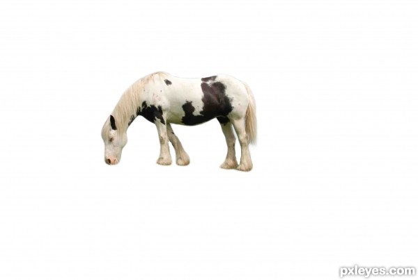 Creation of Yes, is another unicorn :): Step 1