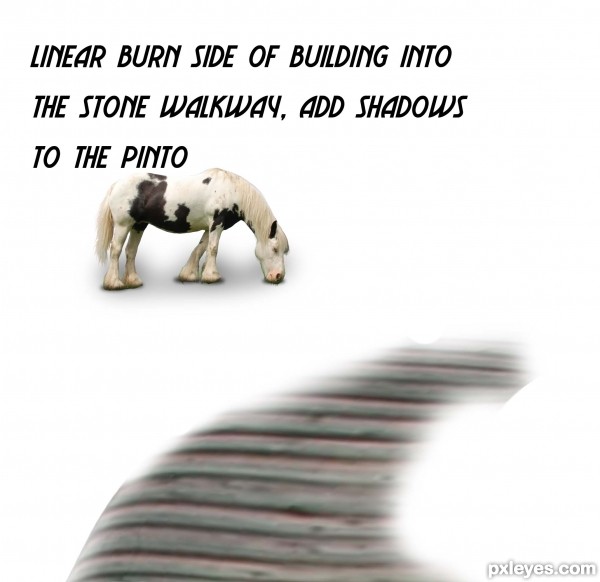 Creation of Zen Pinto: Step 3