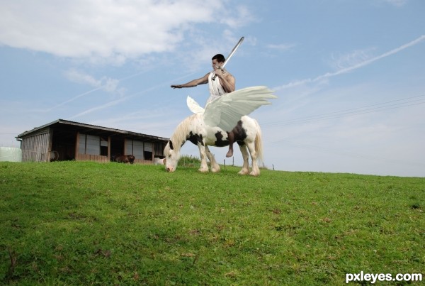 Creation of Cavalo alado: Step 2