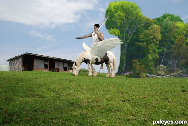 Creation of Cavalo alado: Step 3
