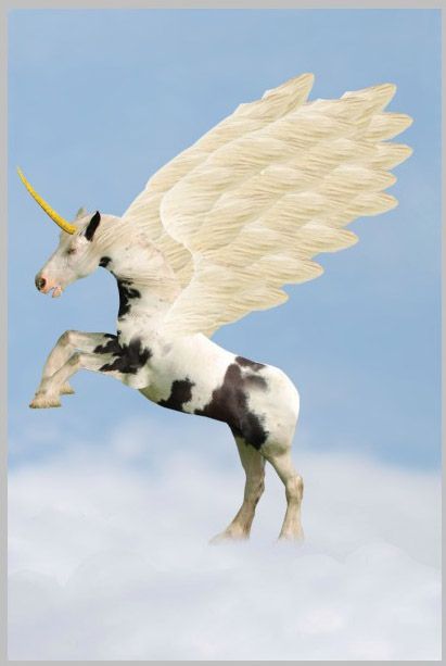 Creation of Magic Dream: Step 8