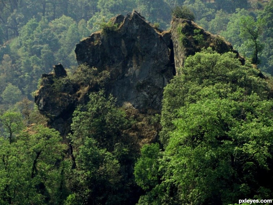 Mountain surround the trees