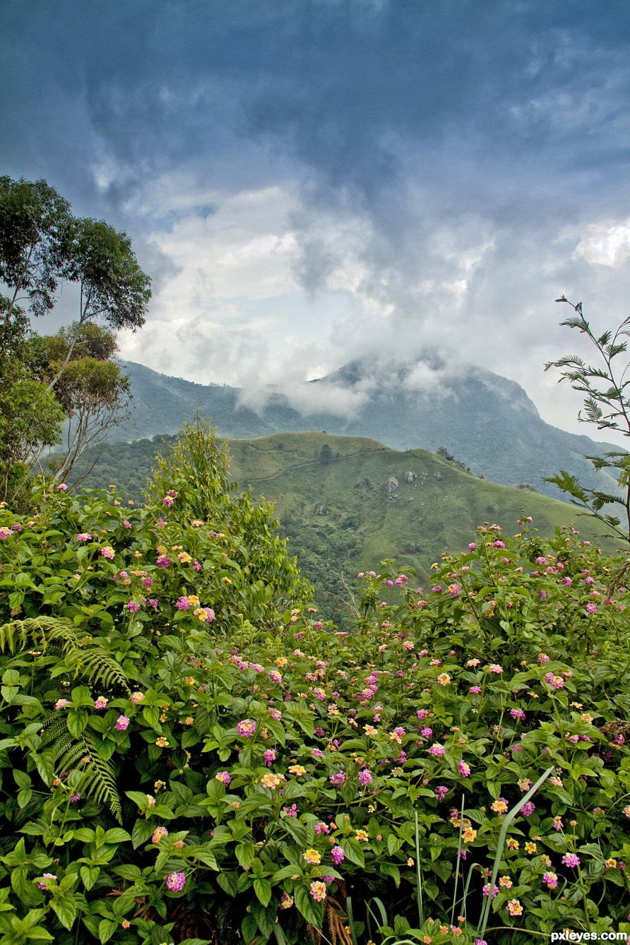 Western Ghats