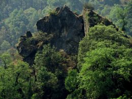 Mountain surround the trees