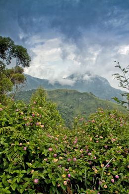 Western Ghats